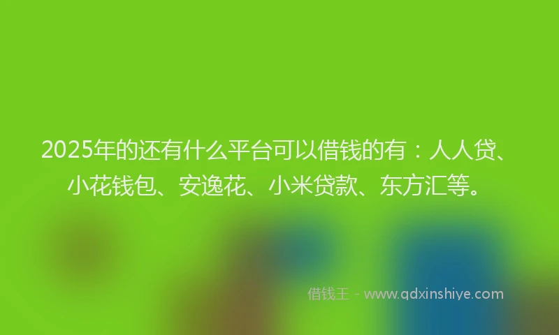 2025年的还有什么平台可以借钱的有：人人贷、小花钱包、安逸花、小米贷款、东方汇等。