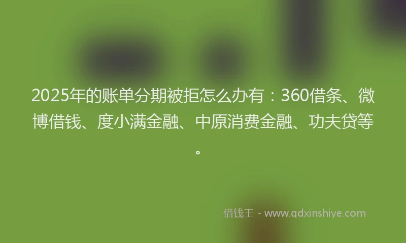 2025年的账单分期被拒怎么办有：360借条、微博借钱、度小满金融、中原消费金融、功夫贷等。