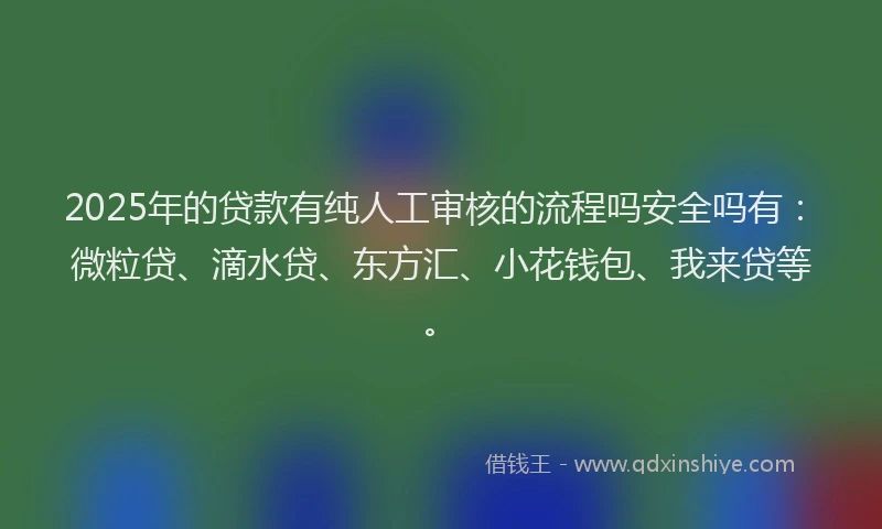 2025年的贷款有纯人工审核的流程吗安全吗有：微粒贷、滴水贷、东方汇、小花钱包、我来贷等。