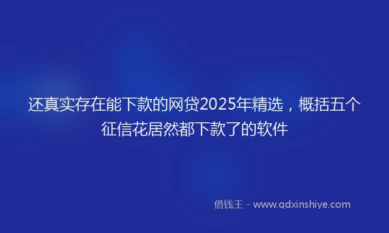 还真实存在能下款的网贷2025年精选，概括五个征信花居然都下款了的软件