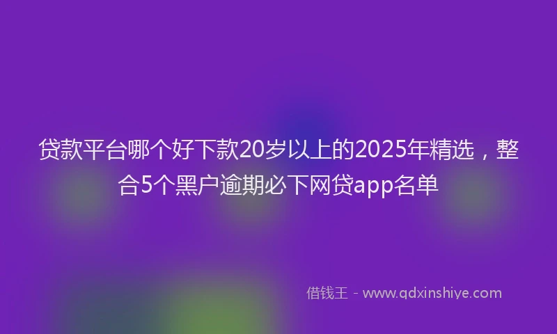 贷款平台哪个好下款20岁以上的2025年精选，整合5个黑户逾期必下网贷app名单