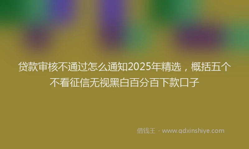 贷款审核不通过怎么通知2025年精选，概括五个不看征信无视黑白百分百下款口子