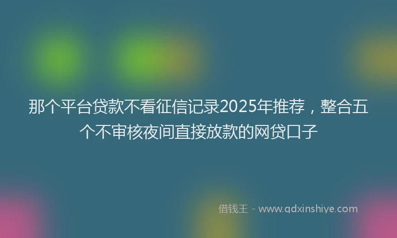 那个平台贷款不看征信记录2025年推荐，整合五个不审核夜间直接放款的网贷口子