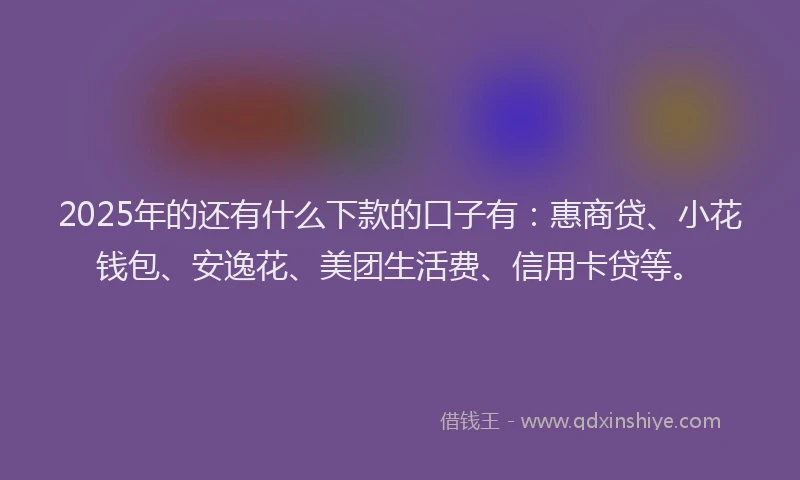 2025年的还有什么下款的口子有：惠商贷、小花钱包、安逸花、美团生活费、信用卡贷等。