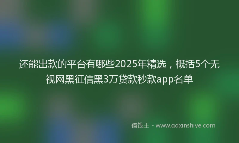 还能出款的平台有哪些2025年精选，概括5个无视网黑征信黑3万贷款秒款app名单