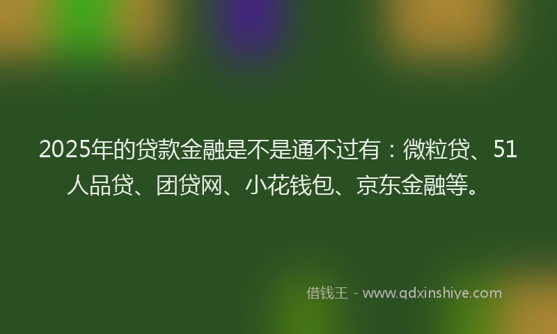 2025年的贷款金融是不是通不过有：微粒贷、51人品贷、团贷网、小花钱包、京东金融等。
