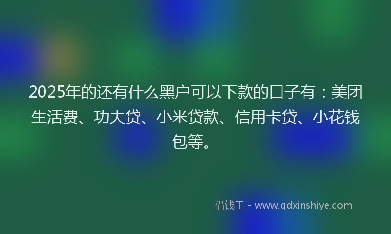 2025年的还有什么黑户可以下款的口子有：美团生活费、功夫贷、小米贷款、信用卡贷、小花钱包等。
