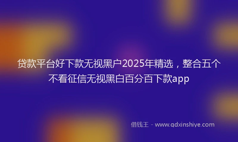 贷款平台好下款无视黑户2025年精选，整合五个不看征信无视黑白百分百下款app