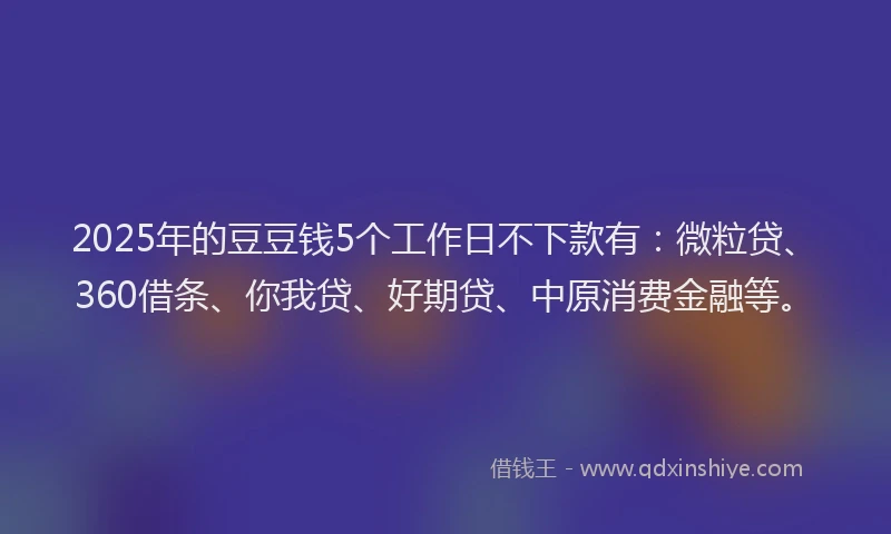 2025年的豆豆钱5个工作日不下款有：微粒贷、360借条、你我贷、好期贷、中原消费金融等。