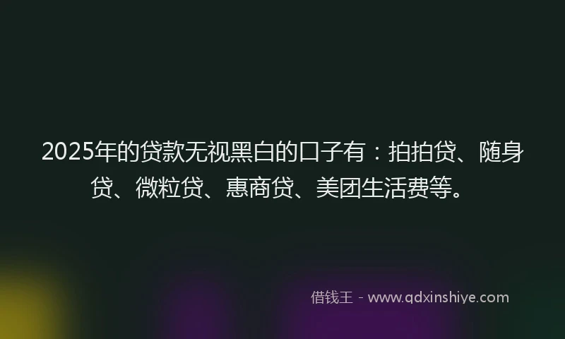 2025年的贷款无视黑白的口子有：拍拍贷、随身贷、微粒贷、惠商贷、美团生活费等。