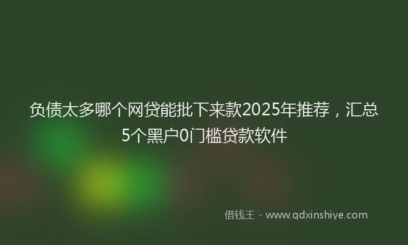 负债太多哪个网贷能批下来款2025年推荐，汇总5个黑户0门槛贷款软件