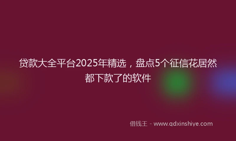 贷款大全平台2025年精选，盘点5个征信花居然都下款了的软件