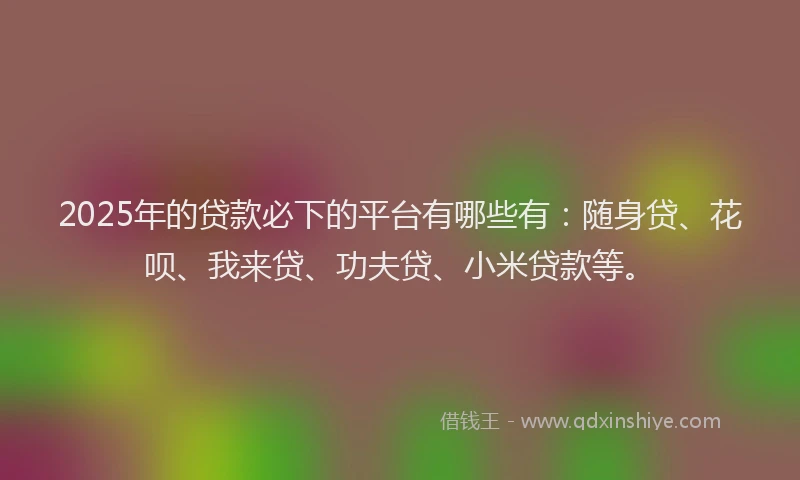 2025年的贷款必下的平台有哪些有：随身贷、花呗、我来贷、功夫贷、小米贷款等。