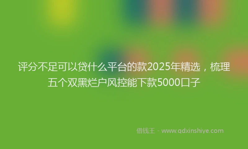 评分不足可以贷什么平台的款2025年精选，梳理五个双黑烂户风控能下款5000口子