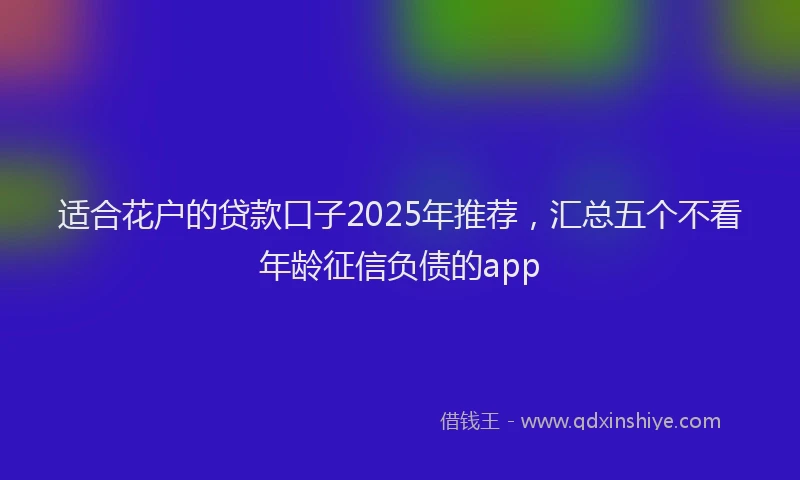 适合花户的贷款口子2025年推荐，汇总五个不看年龄征信负债的app