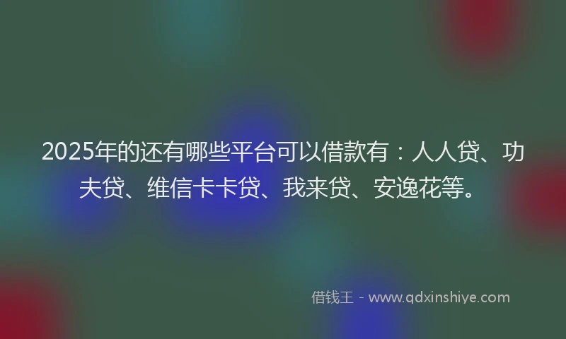 2025年的还有哪些平台可以借款有：人人贷、功夫贷、维信卡卡贷、我来贷、安逸花等。