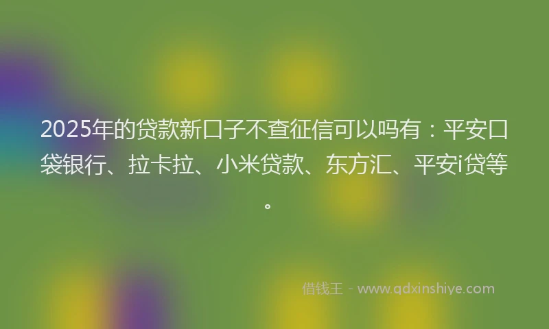 2025年的贷款新口子不查征信可以吗有：平安口袋银行、拉卡拉、小米贷款、东方汇、平安i贷等。