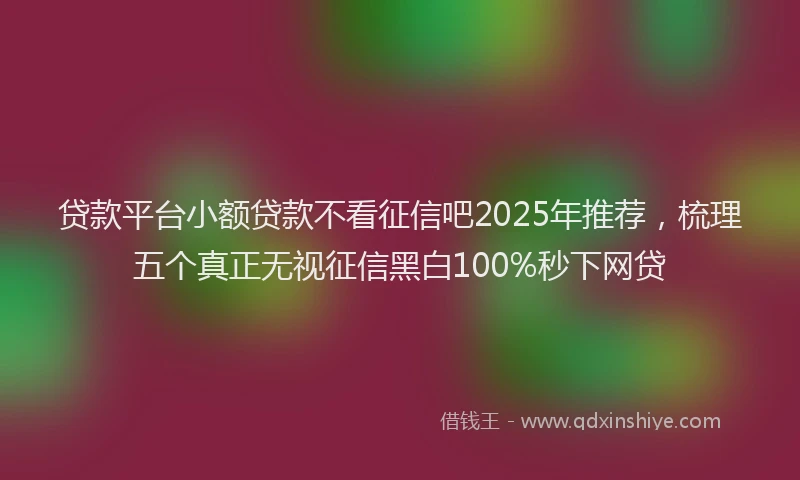 贷款平台小额贷款不看征信吧2025年推荐，梳理五个真正无视征信黑白100%秒下网贷