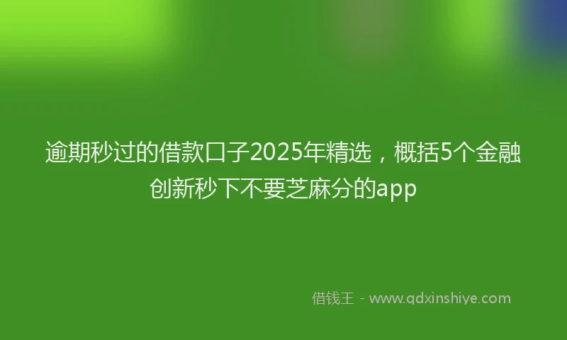 逾期秒过的借款口子2025年精选，概括5个金融创新秒下不要芝麻分的app