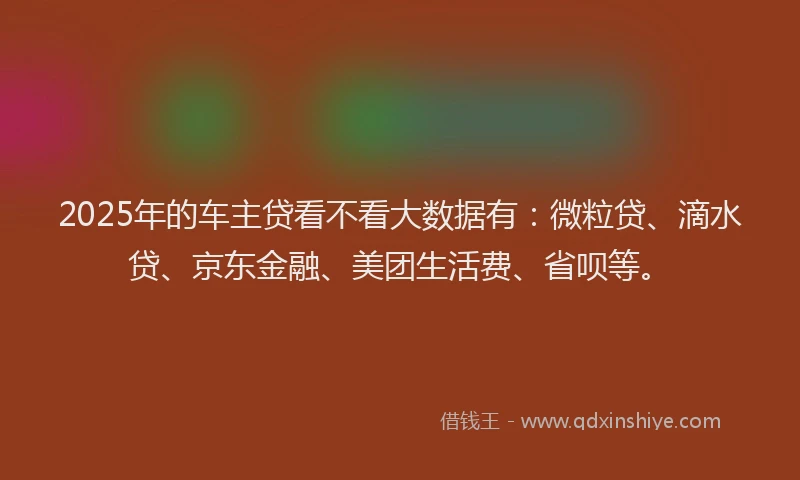 2025年的车主贷看不看大数据有：微粒贷、滴水贷、京东金融、美团生活费、省呗等。