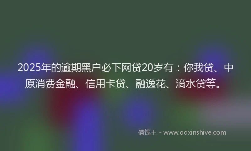 2025年的逾期黑户必下网贷20岁有：你我贷、中原消费金融、信用卡贷、融逸花、滴水贷等。