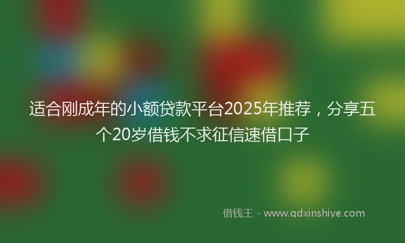 适合刚成年的小额贷款平台2025年推荐，分享五个20岁借钱不求征信速借口子
