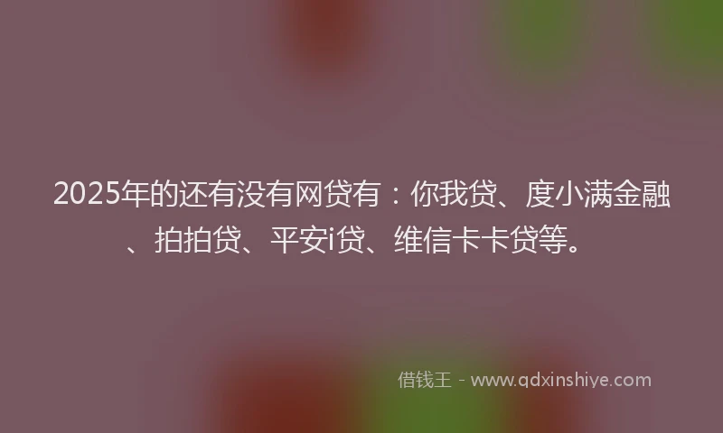 2025年的还有没有网贷有：你我贷、度小满金融、拍拍贷、平安i贷、维信卡卡贷等。