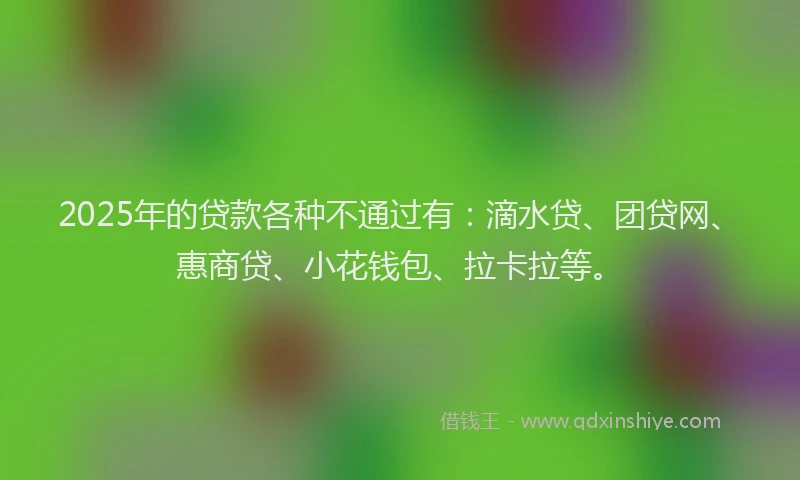 2025年的贷款各种不通过有：滴水贷、团贷网、惠商贷、小花钱包、拉卡拉等。
