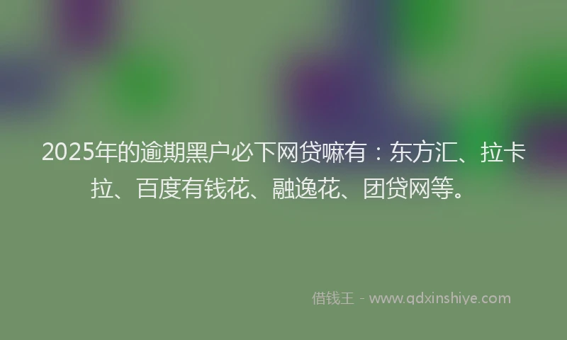 2025年的逾期黑户必下网贷嘛有：东方汇、拉卡拉、百度有钱花、融逸花、团贷网等。