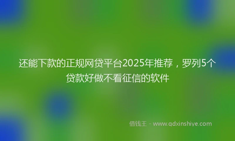 还能下款的正规网贷平台2025年推荐，罗列5个贷款好做不看征信的软件