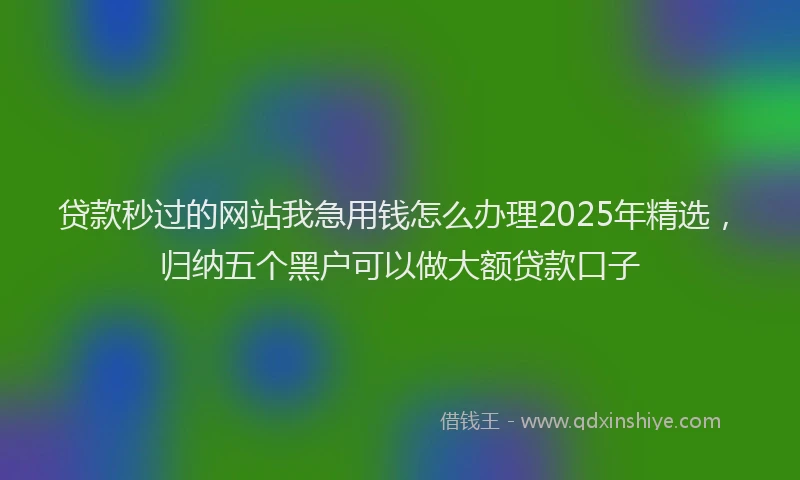 贷款秒过的网站我急用钱怎么办理2025年精选，归纳五个黑户可以做大额贷款口子