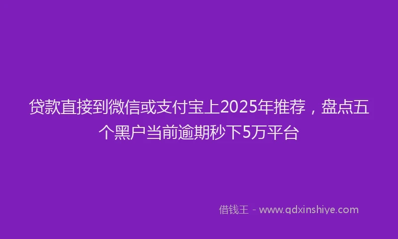 贷款直接到微信或支付宝上2025年推荐，盘点五个黑户当前逾期秒下5万平台