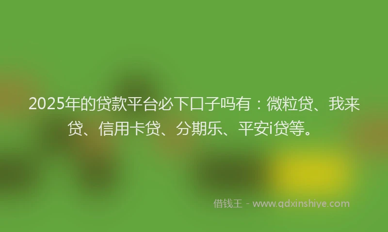 2025年的贷款平台必下口子吗有：微粒贷、我来贷、信用卡贷、分期乐、平安i贷等。