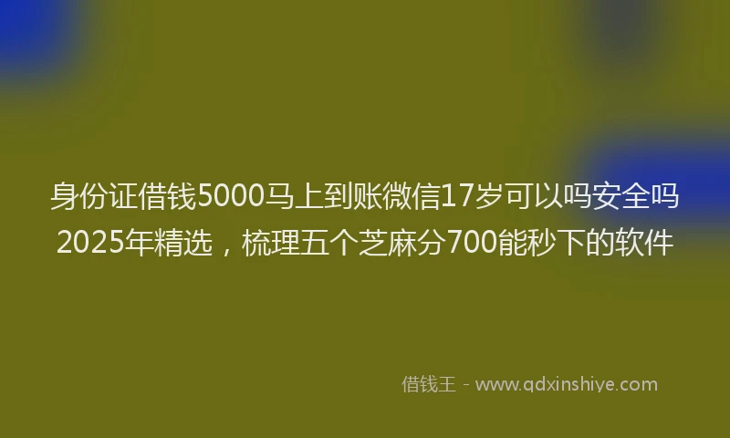 身份证借钱5000马上到账微信17岁可以吗安全吗2025年精选，梳理五个芝麻分700能秒下的软件