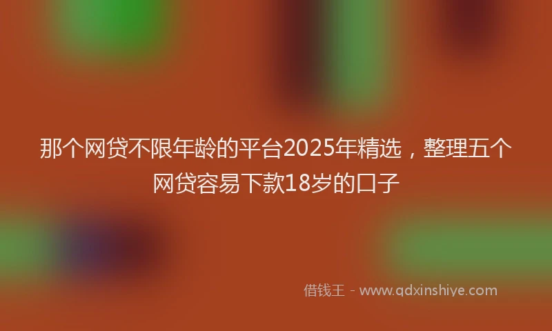 那个网贷不限年龄的平台2025年精选，整理五个网贷容易下款18岁的口子