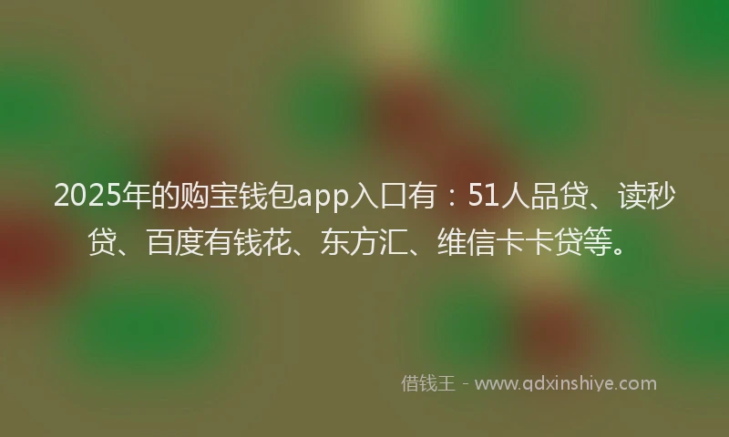 2025年的购宝钱包app入口有：51人品贷、读秒贷、百度有钱花、东方汇、维信卡卡贷等。