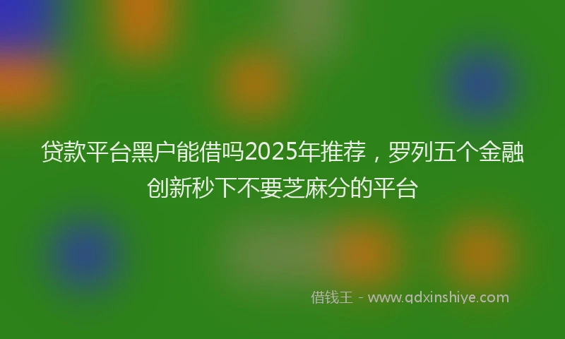 贷款平台黑户能借吗2025年推荐，罗列五个金融创新秒下不要芝麻分的平台