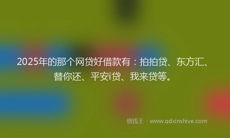 2025年的那个网贷好借款有：拍拍贷、东方汇、替你还、平安i贷、我来贷等。