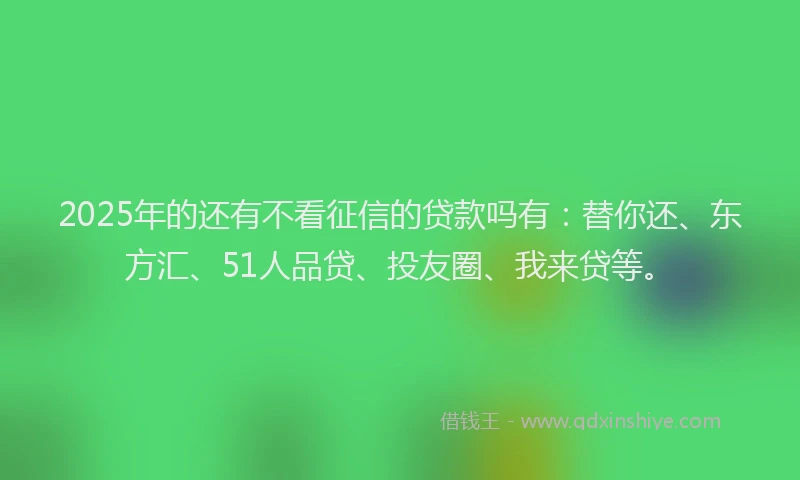 2025年的还有不看征信的贷款吗有：替你还、东方汇、51人品贷、投友圈、我来贷等。