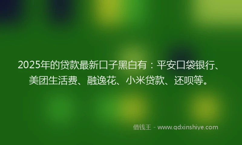2025年的贷款最新口子黑白有：平安口袋银行、美团生活费、融逸花、小米贷款、还呗等。