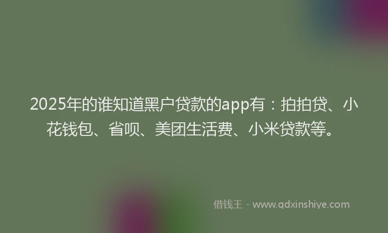 2025年的谁知道黑户贷款的app有：拍拍贷、小花钱包、省呗、美团生活费、小米贷款等。