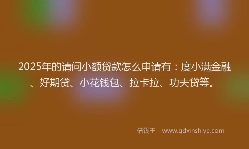 2025年的请问小额贷款怎么申请有：度小满金融、好期贷、小花钱包、拉卡拉、功夫贷等。