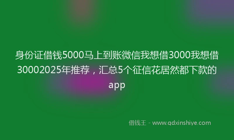 身份证借钱5000马上到账微信我想借3000我想借30002025年推荐，汇总5个征信花居然都下款的app