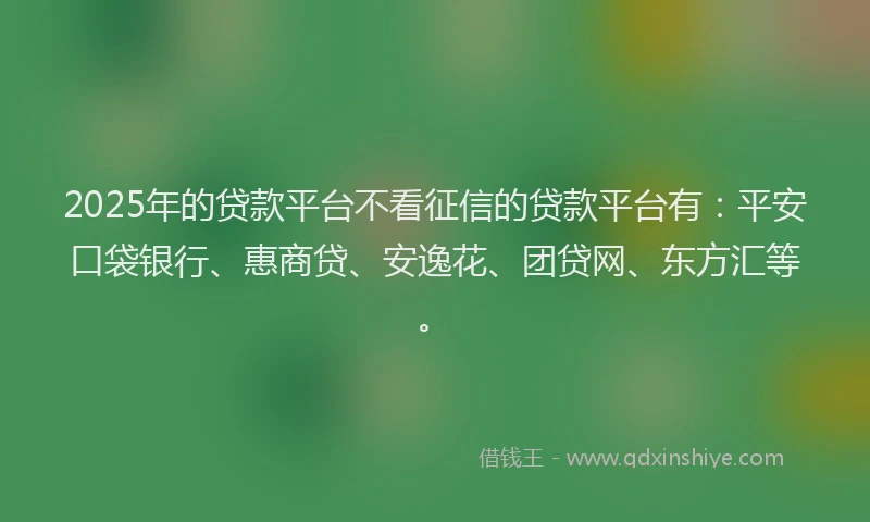 2025年的贷款平台不看征信的贷款平台有：平安口袋银行、惠商贷、安逸花、团贷网、东方汇等。