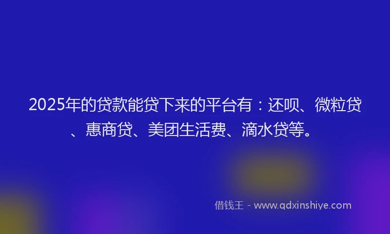 2025年的贷款能贷下来的平台有：还呗、微粒贷、惠商贷、美团生活费、滴水贷等。