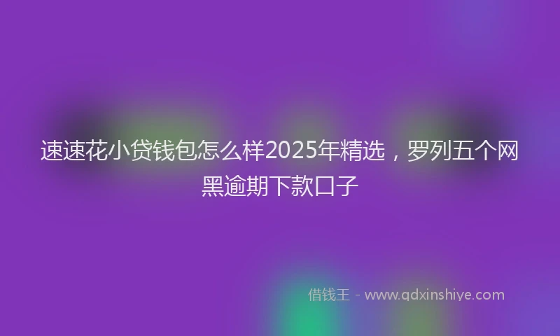 速速花小贷钱包怎么样2025年精选，罗列五个网黑逾期下款口子