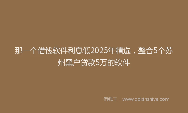 那一个借钱软件利息低2025年精选，整合5个苏州黑户贷款5万的软件