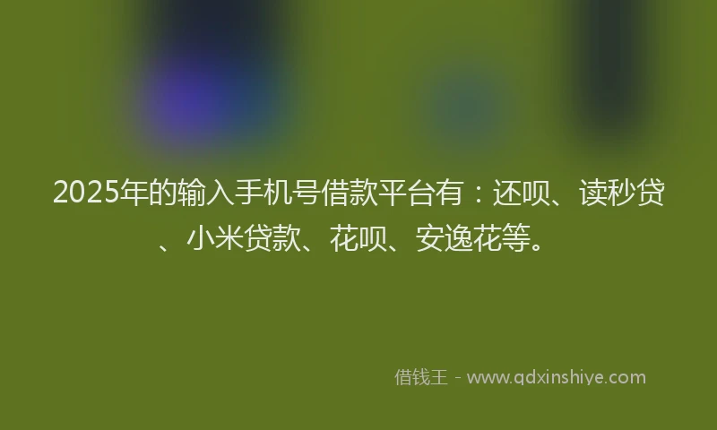 2025年的输入手机号借款平台有：还呗、读秒贷、小米贷款、花呗、安逸花等。