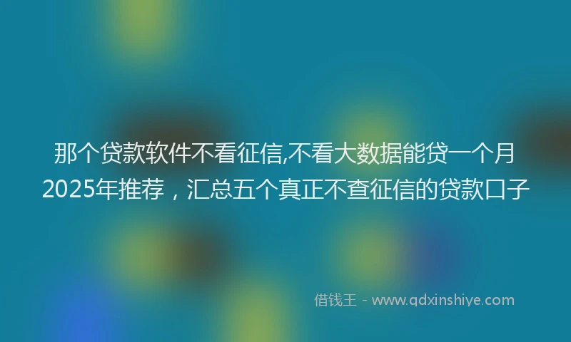 那个贷款软件不看征信,不看大数据能贷一个月2025年推荐，汇总五个真正不查征信的贷款口子