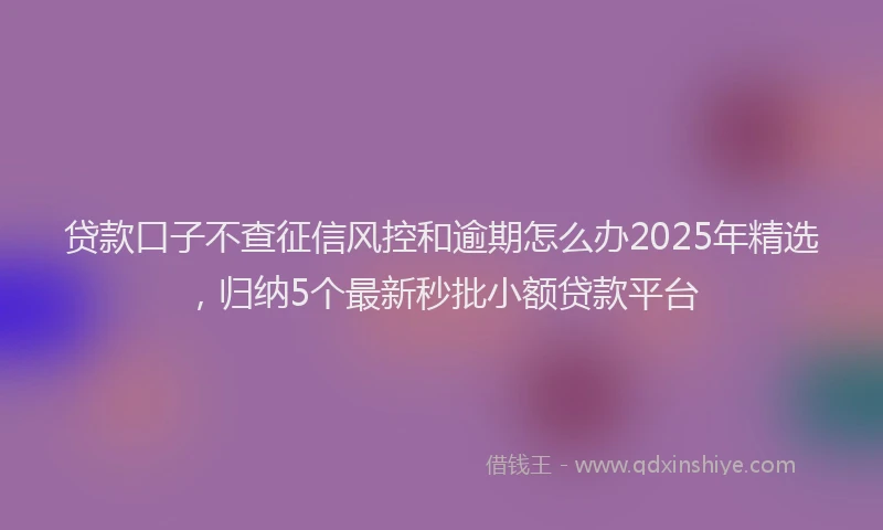 贷款口子不查征信风控和逾期怎么办2025年精选，归纳5个最新秒批小额贷款平台